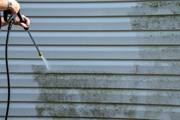 Best Carpet Removal and Disposal  in Great Falls, MT