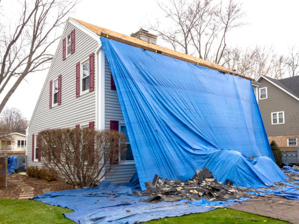 Best Construction Debris Removal  in Great Falls, MT